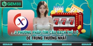 cầu bạch thủ lô