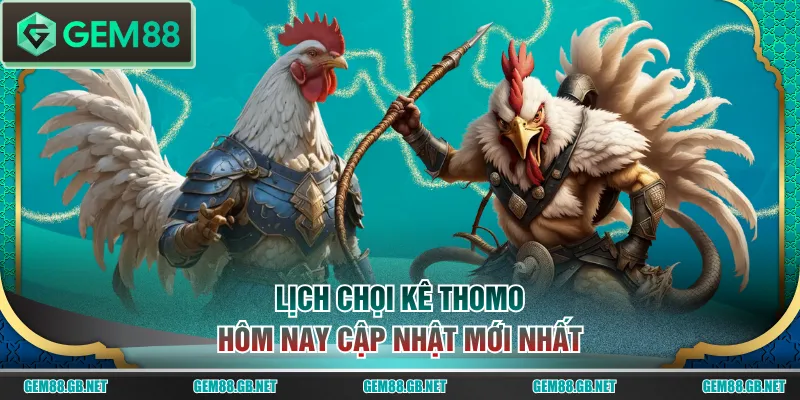 Lịch chọi kê Thomo hôm nay cập nhật mới nhất