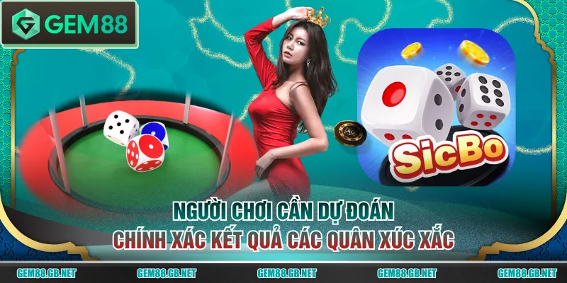 Người chơi cần dự đoán chính xác kết quả các quân xúc xắc