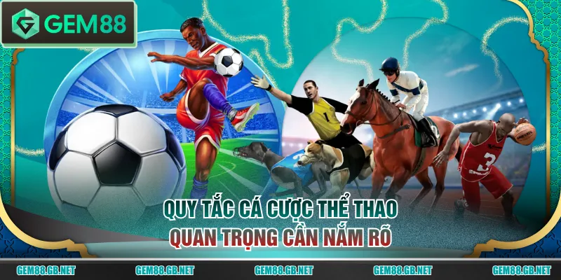 Quy tắc cá cược thể thao quan trọng cần nắm rõ