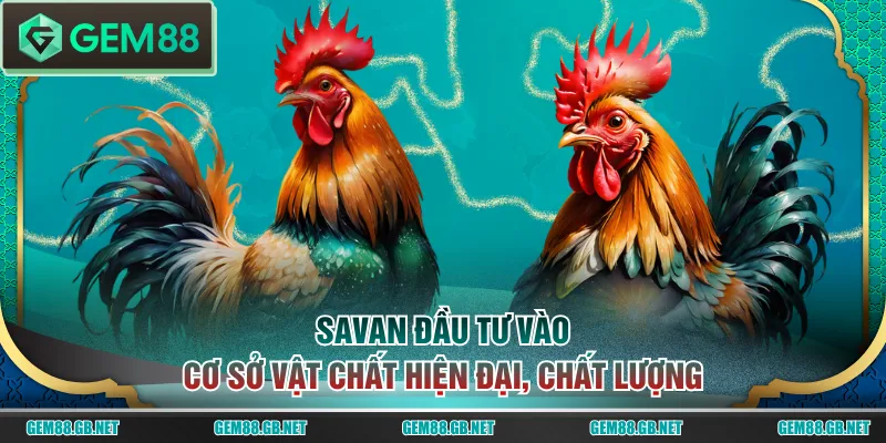 Savan đầu tư vào cơ sở vật chất hiện đại, chất lượng