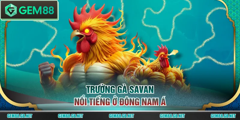 Trường gà Savan nổi tiếng ở Đông Nam Á